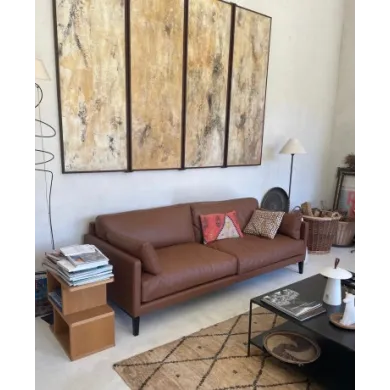 Un Salon Dans Un Ancien  Mas Provençal