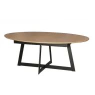 Table De Repas Elliptique   Quartz