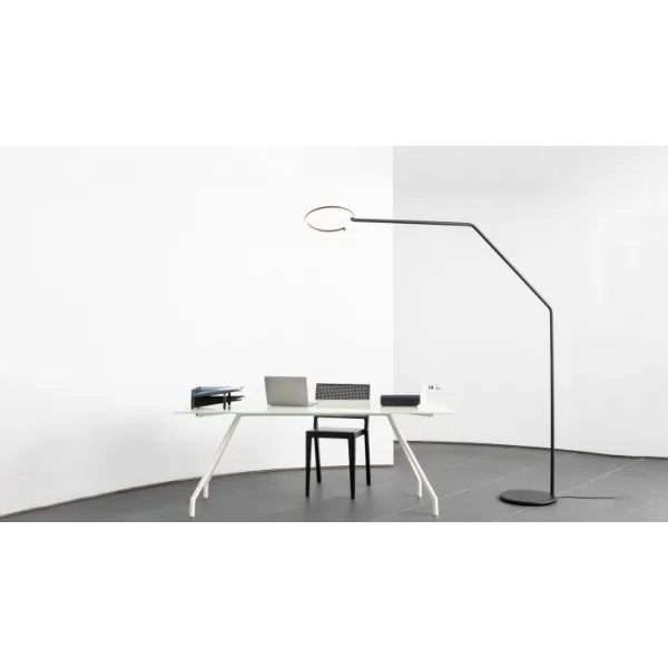 Collection Vine