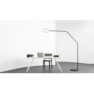 Collection Vine