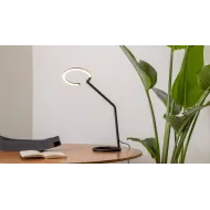 Collection Vine