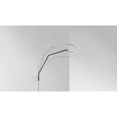 Collection Vine
