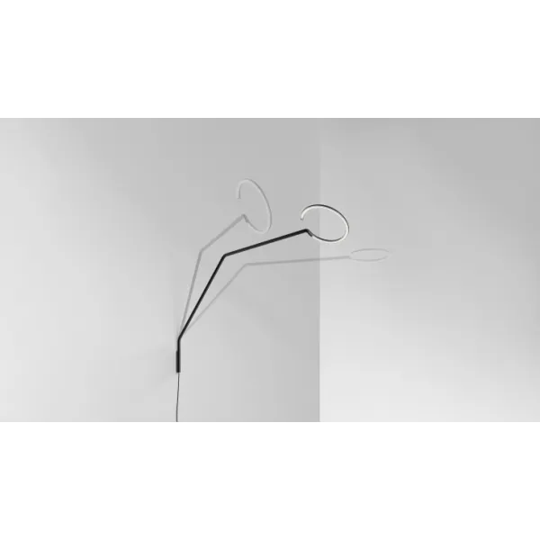Collection Vine