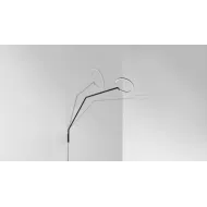 Collection Vine