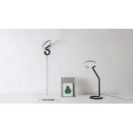 Collection Vine