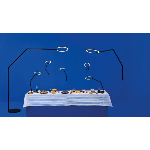Collection Vine