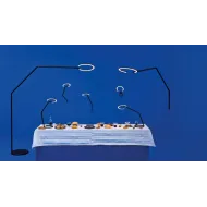 Collection Vine
