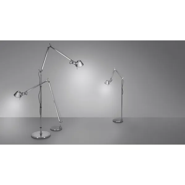 Collection Tolomeo