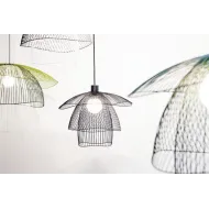 Papillon  - Suspension