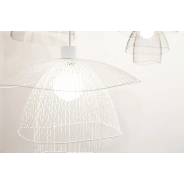 Papillon  - Suspension