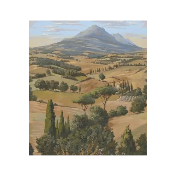Les Papiers-Peints Panoramiques