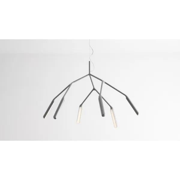 Collection Osidio